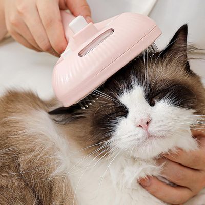 PetTribes Brosse vapeur pour chat et chien - Toilettage et massage