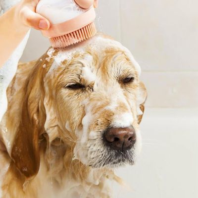 PetTribes Brosse de Bain pour Chien/Chat - Distributeur Intégré
