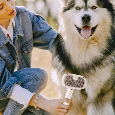 PetTribes Brosse vapeur pour chat et chien - Toilettage et massage PetTribes Brosse vapeur pour chat et chien - Toilettage et massage