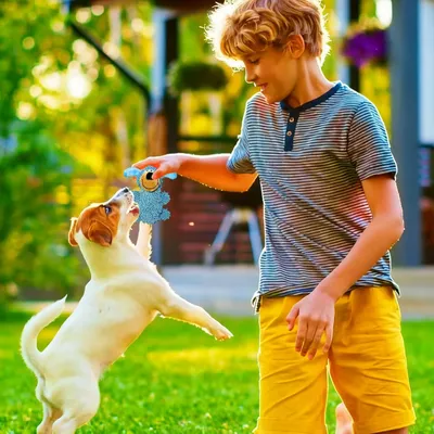 PetTribes Pour Chiens Destructeurs : Jouets à Mâcher Robustes