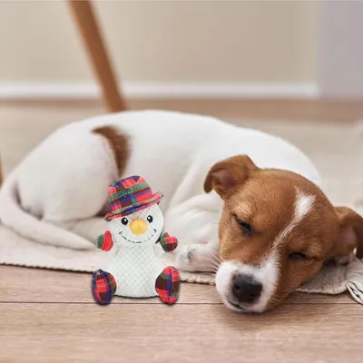 PetTribes Jouets de décoration de Noël - Bonhomme de neige de Noël