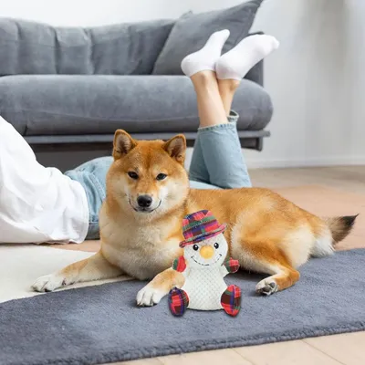 PetTribes Jouets de décoration de Noël - Bonhomme de neige de Noël