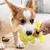 PetTribes Pour Chiens Destructeurs : Jouets à Mâcher Robustes PetTribes Pour Chiens Destructeurs : Jouets à Mâcher Robustes