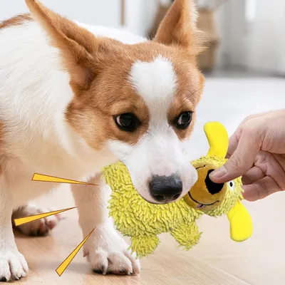 PetTribes Pour Chiens Destructeurs : Jouets à Mâcher Robustes PetTribes Pour Chiens Destructeurs : Jouets à Mâcher Robustes