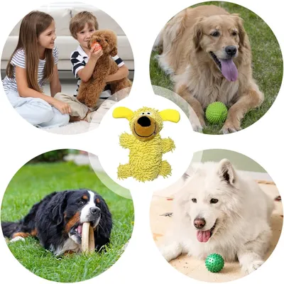 PetTribes Pour Chiens Destructeurs : Jouets à Mâcher Robustes PetTribes Pour Chiens Destructeurs : Jouets à Mâcher Robustes