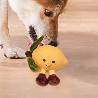 PetTribes Jouet Fruit Criard Interactif pour Chien