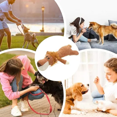 PetTribes Jouet pour chien qui couine - Lion