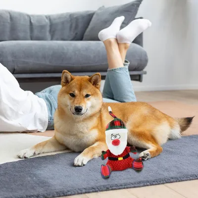 PetTribes Jouets de décoration de Noël - Père Noël PetTribes Jouets de décoration de Noël - Père Noël
