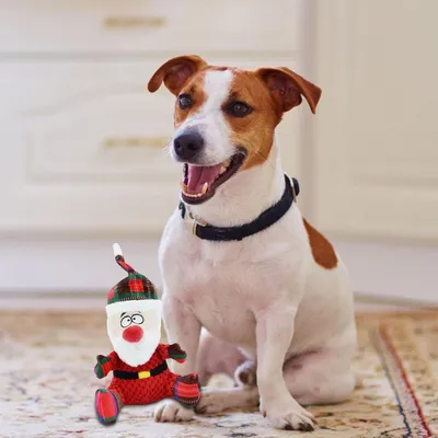 PetTribes Jouets de décoration de Noël - Père Noël PetTribes Jouets de décoration de Noël - Père Noël