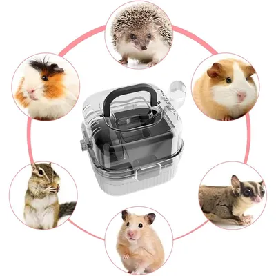 PetTribes Cage Transparente Portable pour Petit Animal