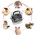 PetTribes Cage Transparente Portable pour Petit Animal