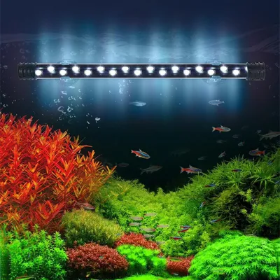 PetTribes Bande LED Submersible pour Aquarium - Éclairage Étanche M