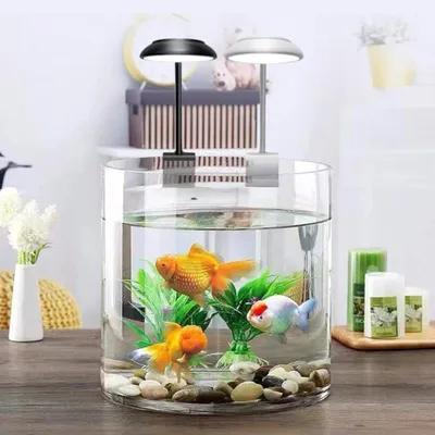 PetTribes Éclairage LED aquarium - Orientation 360° sans scintillement