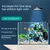 PetTribes Éclairage LED aquarium - Orientation 360° sans scintillement