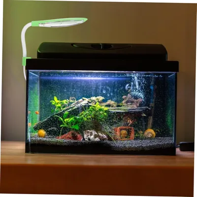 PetTribes Éclairage LED 3W pour Plantes Aquatiques