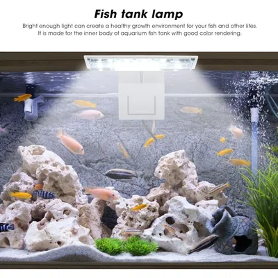 PetTribes Éclairage LED à pince pour aquarium planté - Économe