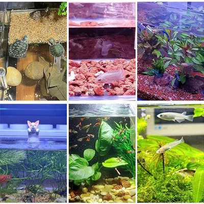 PetTribes Lampe d'Aquarium 8W Réglable