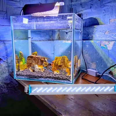 PetTribes Lampe LED 3 Couleurs pour Aquarium