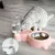 PetTribes Bol d'eau automatique pour chat