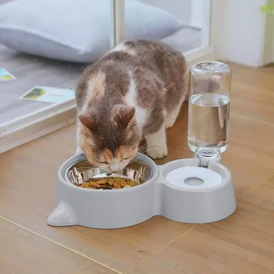 PetTribes Bol d'eau automatique pour chat