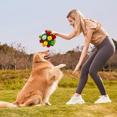 PetTribes Jeu d'Intelligence et de Reniflement