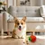 PetTribes Distributeur de Friandises en Forme de Fraise