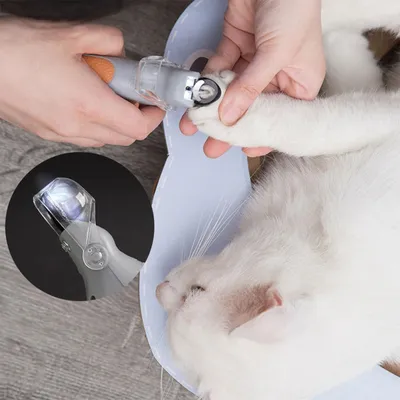 PetTribes Coupe-Ongles LED pour Chats/Chiens - Sécurité et Précision
