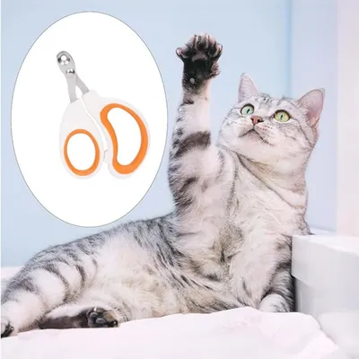 PetTribes Coupe-ongles pour chats et petits animaux.