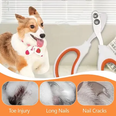 PetTribes Coupe-ongles pour chats et petits animaux.
