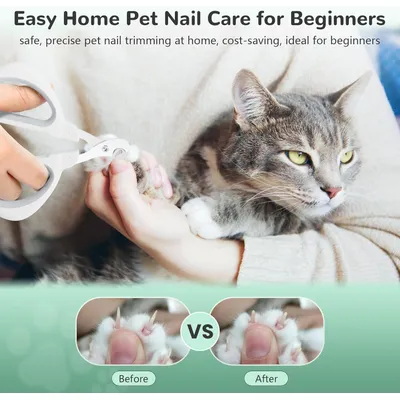 PetTribes Coupe-griffes pour chat, avec trou de positionnement sécurisé