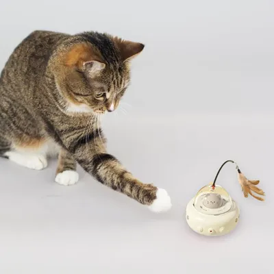 PetTribes Jouet Automatique Rechargeable pour Chat