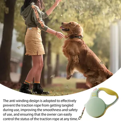 PetTribes Laisse Rétractable Robuste pour Chien