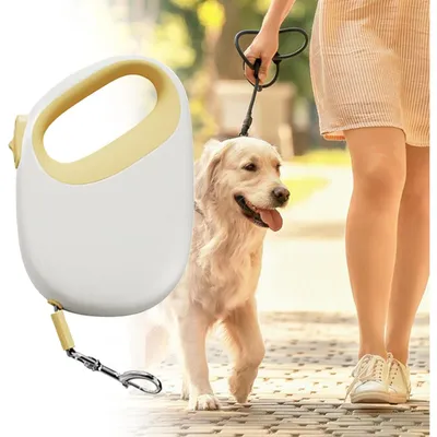 PetTribes Laisse Rétractable Chien 5m - Robustesse et Portabilité