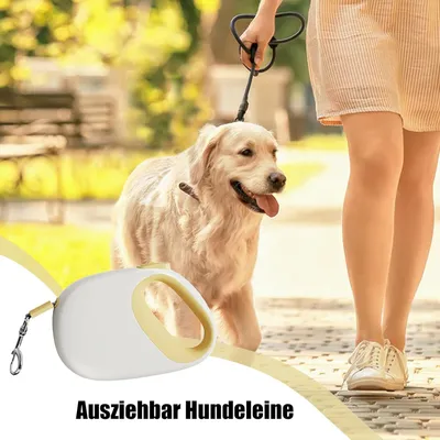 PetTribes Laisse Rétractable Chien 5m - Robustesse et Portabilité