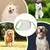 PetTribes Laisse Rétractable Chien 5m - Robustesse et Portabilité