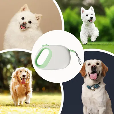 PetTribes Laisse Rétractable Chien 5m - Robustesse et Portabilité