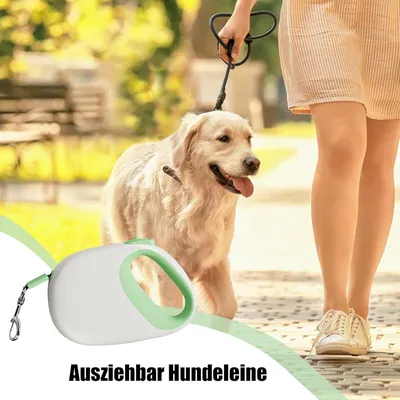 PetTribes Laisse Rétractable Chien 5m - Robustesse et Portabilité
