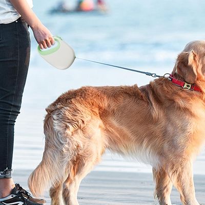 PetTribes Laisse Rétractable Chien 5m - Robustesse et Portabilité
