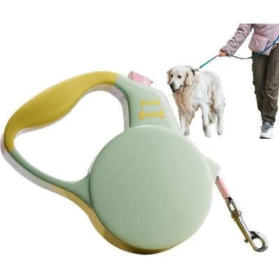 PetTribes Laisse Rétractable Robuste pour Chien