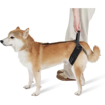 PetTribes Harnais de Levage pour Chiens pour Les Arrière-Jambes