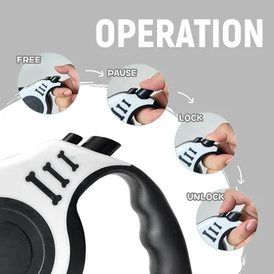 PetTribes Laisse automatique rétractable pour chien - 5m - Nylon durable