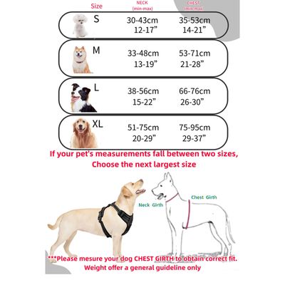 PetTribes Harnais-Laisse Réfléchissant pour Grand Chien L