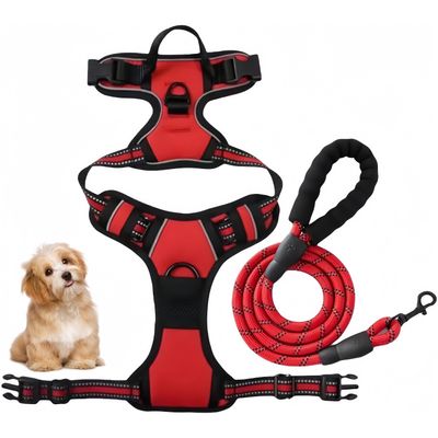 PetTribes Harnais-Laisse Réfléchissant pour Grand Chien L