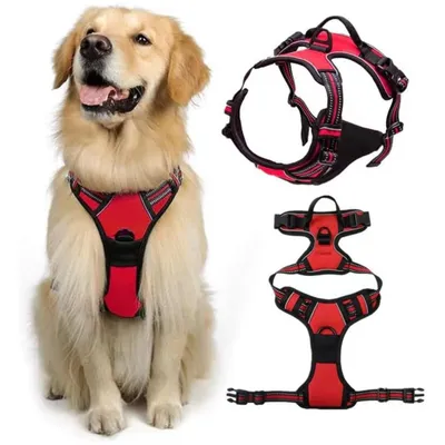 PetTribes Harnais-Laisse Réfléchissant pour Grand Chien XL