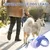 PetTribes Laisse-Télescopique Pro pour Grands Chiens,3M