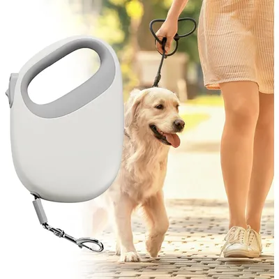 PetTribes Laisse Rétractable Chien 5m - Robustesse et Portabilité