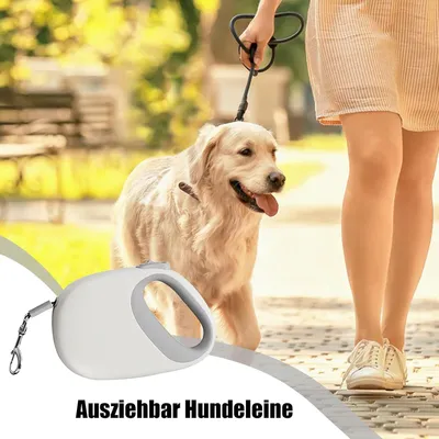 PetTribes Laisse Rétractable Chien 5m - Robustesse et Portabilité