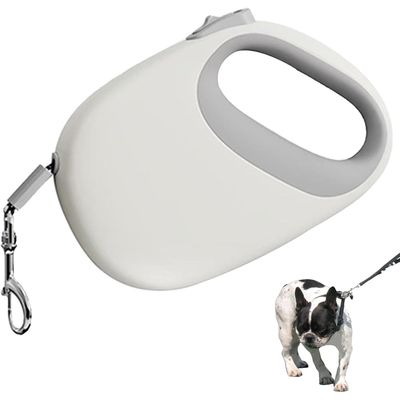 PetTribes Laisse Rétractable Chien 5m - Robustesse et Portabilité