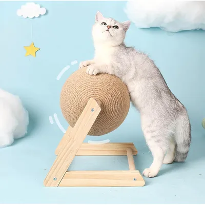 PetTribes Grattoir Bois et Sisal pour Chat - Protège Meubles