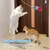 PetTribes Souris Suspendue Criante - Jouet Interactif pour Chat